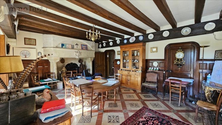 Maison a vendre Pezou 41100 Loir-et-Cher 431 m2 14 pièces 592250 euros