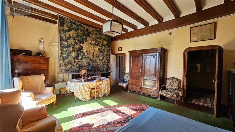 Maison a vendre Pezou 41100 Loir-et-Cher 431 m2 14 pièces 592250 euros