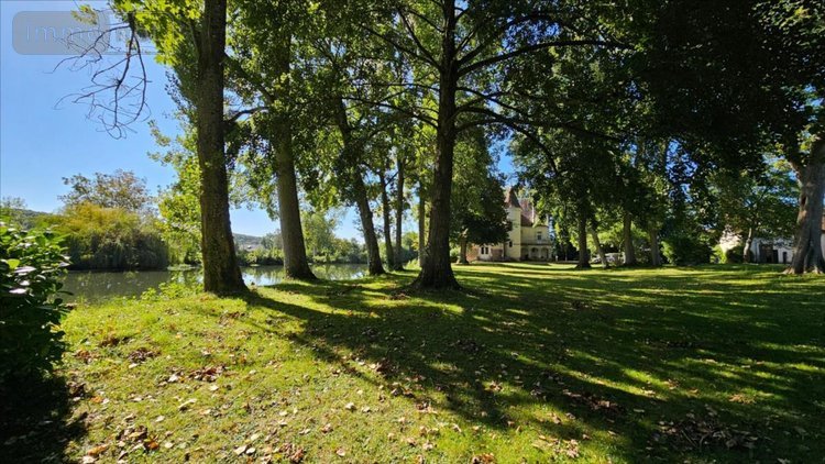 Maison a vendre Pezou 41100 Loir-et-Cher 431 m2 14 pièces 592250 euros