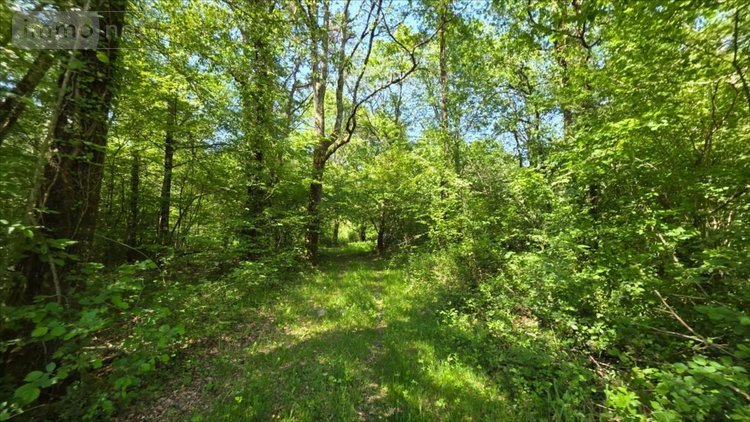 Maison a vendre Vendoeuvres 36500 Indre 145 m2 5 pièces 1090000 euros