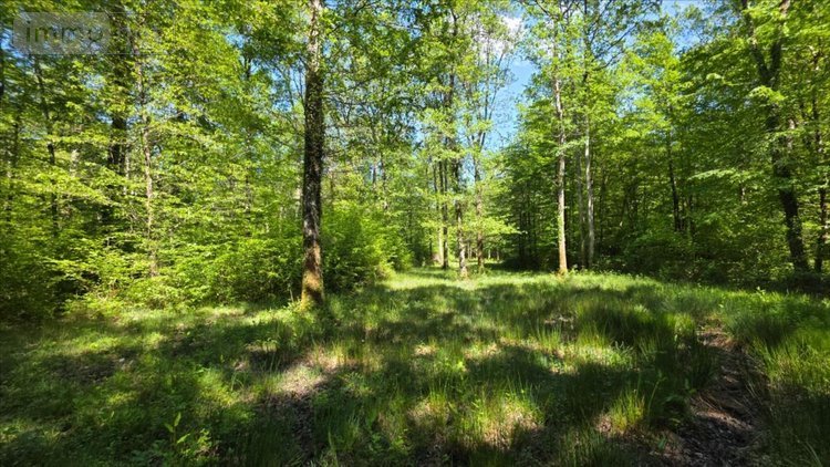 Maison a vendre Vendoeuvres 36500 Indre 145 m2 5 pièces 1090000 euros