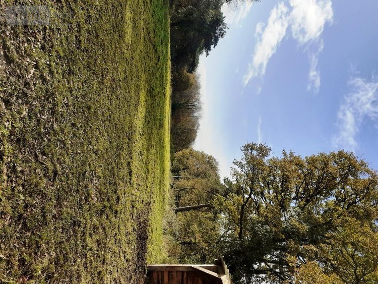 Divers a vendre Malguénac 56300 Morbihan 1 m2  471500 euros