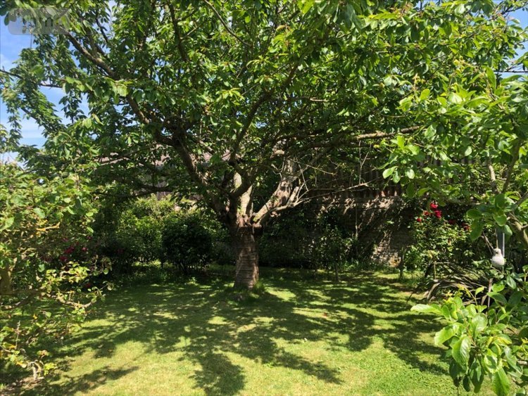 Maison a vendre Montfarville 50760 Manche 132 m2 6 pièces 467100 euros