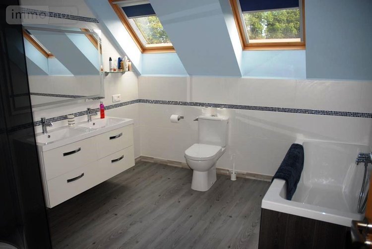 Maison a vendre Plouray 56770 Morbihan 700 m2 19 pièces 800680 euros