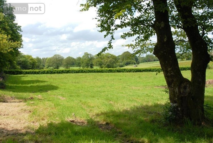 Maison a vendre Plouray 56770 Morbihan 700 m2 19 pièces 800680 euros