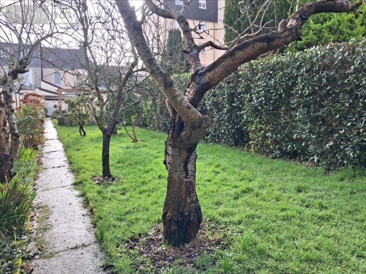 Maison a vendre Cherbourg-en-Cotentin 50100 Manche 78 m2 5 pièces 180385 euros