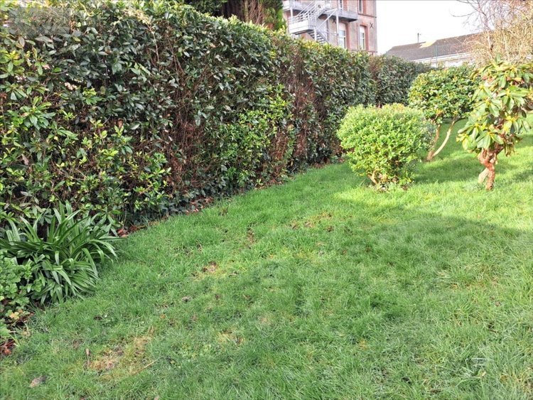 Maison a vendre Cherbourg-en-Cotentin 50100 Manche 78 m2 5 pièces 180385 euros