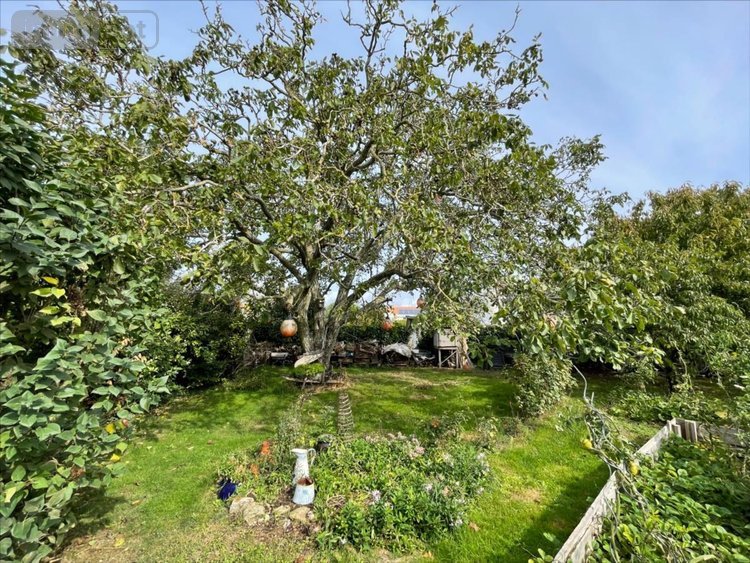 Maison a vendre Charron 17230 Charente-Maritime 151 m2 4 pièces 375000 euros