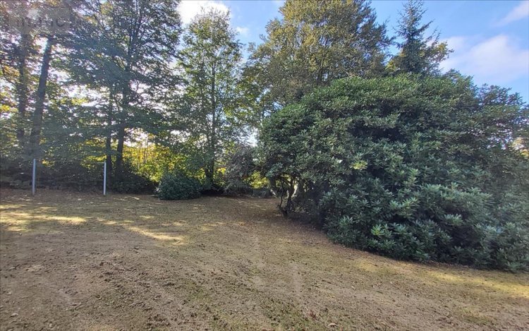 Maison a vendre Treffrin 22340 Côtes-d'Armor 82 m2 5 pièces 126000 euros