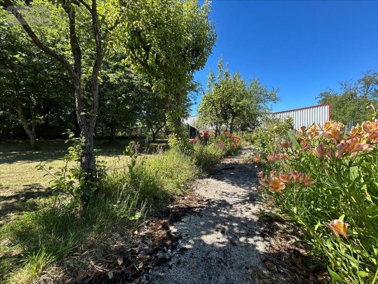 Maison a vendre Saint-Sauveur-le-Vicomte 50390 Manche 125 m2 6 pièces 262960 euros