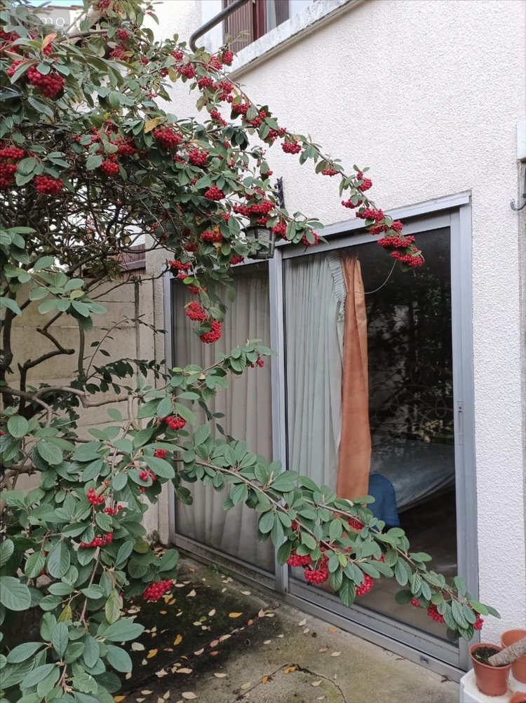 Maison a vendre Antony 92160 Hauts-de-Seine 108 m2 6 pièces 650000 euros