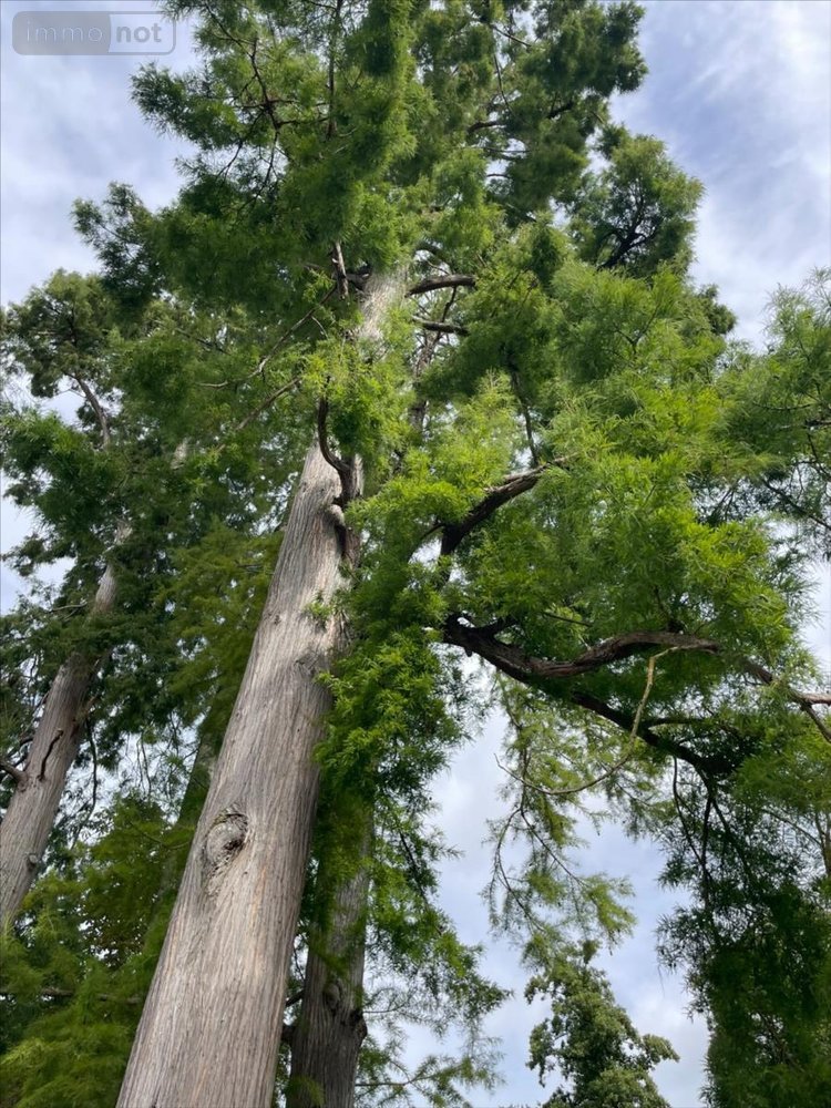 Maison a vendre Nantes 44000 Loire-Atlantique 150 m2 6 pièces 828000 euros