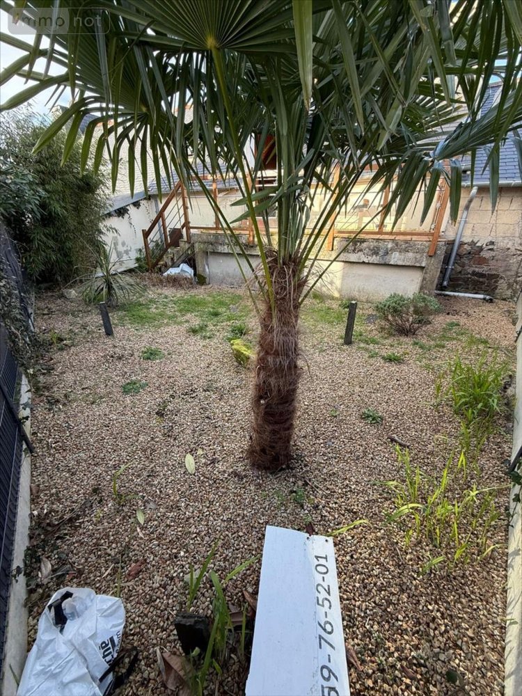 Location maison Collorec 29530 Finistère 65 m2 1 pièce 600 euros