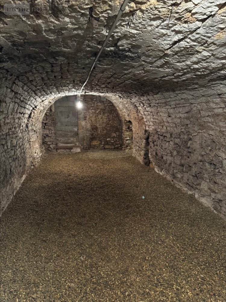 Location maison Dole 39100 Jura 201 m2 7 pièces 1100 euros