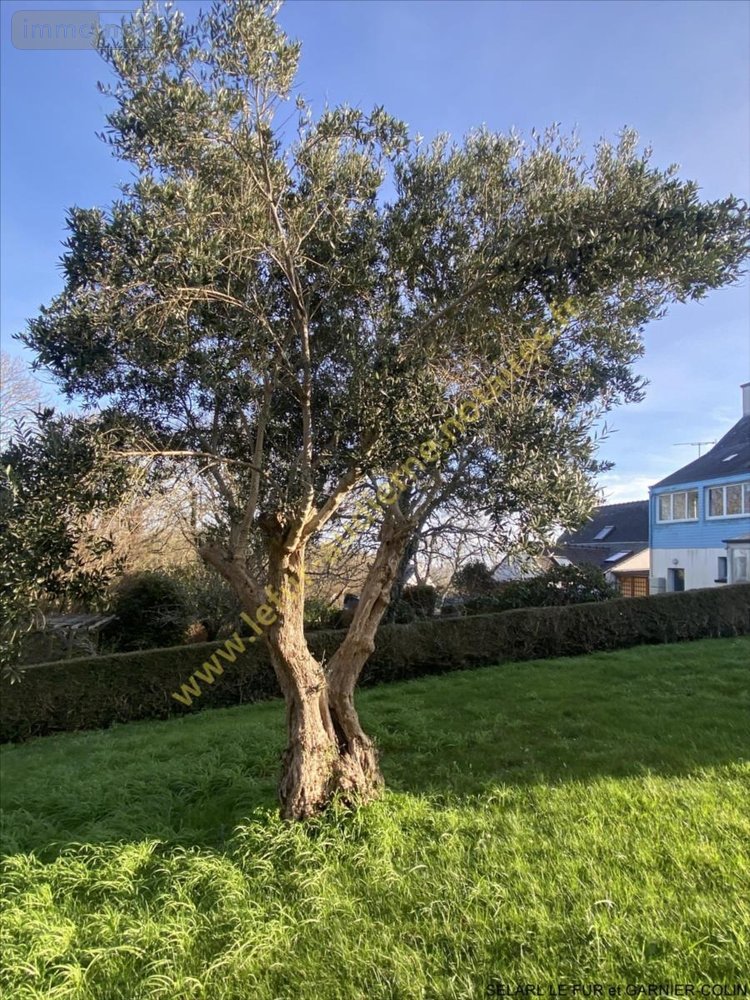 Maison a vendre Esquibien 29770 Finistère 120 m2 6 pièces 343050 euros