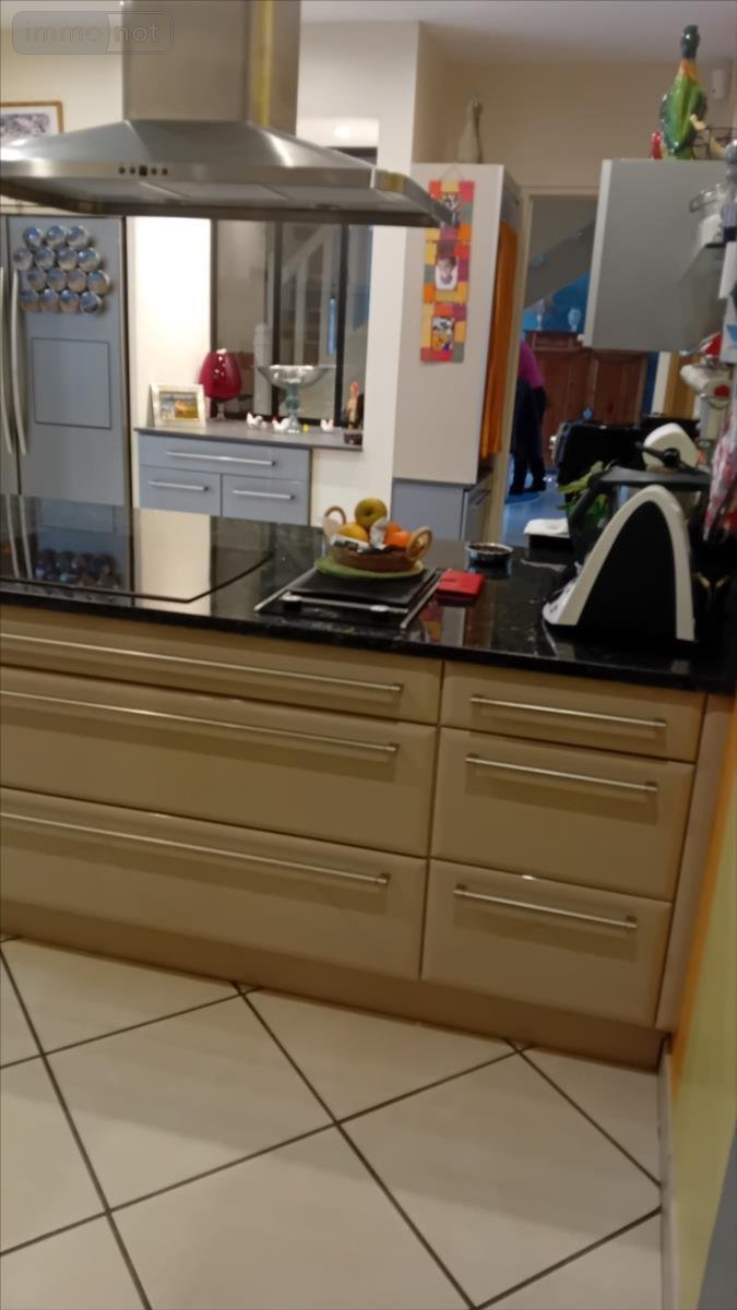 Maison a vendre Ruaudin 72230 Sarthe 228 m2 7 pièces 430500 euros