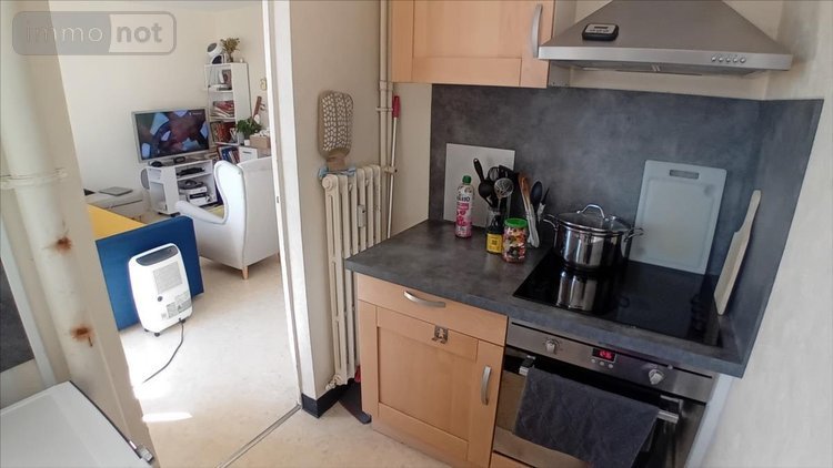 Appartement a vendre Le Mans 72000 Sarthe 54 m2 2 pièces 91375 euros