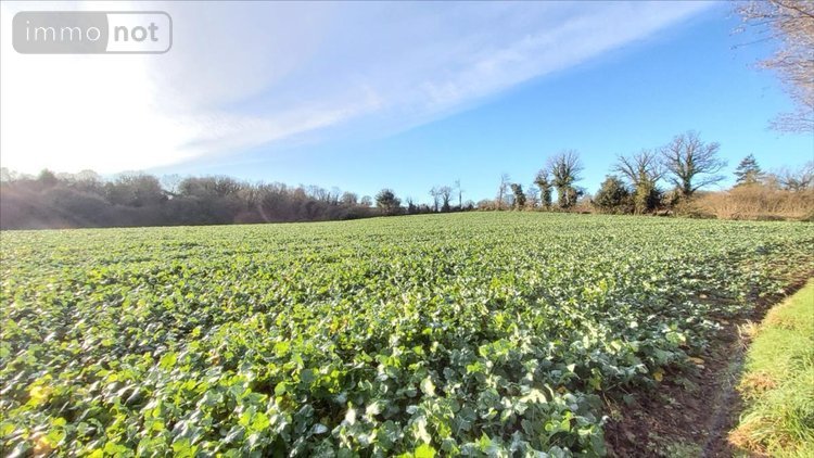 Maison a vendre Saint-Hernin 29270 Finistère 85 m2 5 pièces 131250 euros