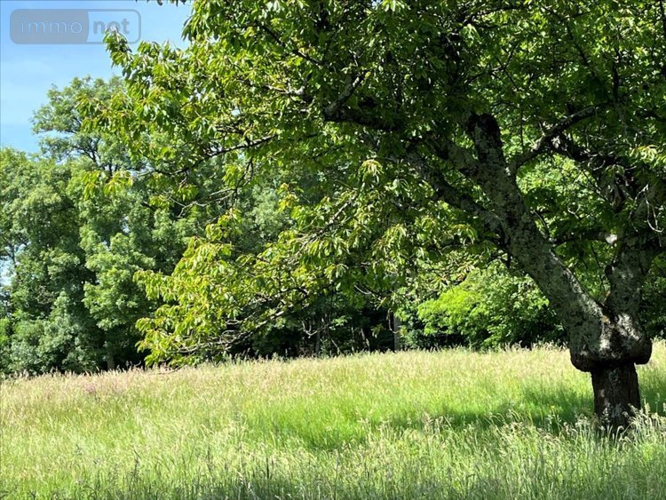 Maison a vendre Dagneux 01120 Ain 100 m2 5 pièces 520000 euros