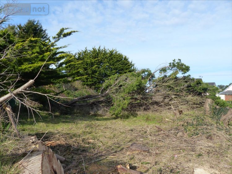 Maison a vendre Port-Bail-sur-Mer 50580 Manche 38 m2 2 pièces 168640 euros