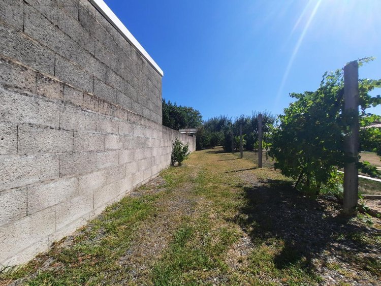 Terrain a batir a vendre Falleron 85670 Vendée 396 m2  38100 euros