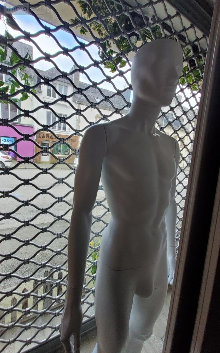 Location fonds et murs commerciaux Carhaix-Plouguer 29270 Finistère 70 m2  600 euros