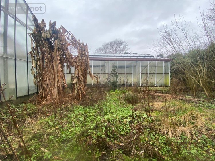 Maison a vendre Veules-les-Roses 76980 Seine-Maritime 68 m2 14 pièces 2415000 euros