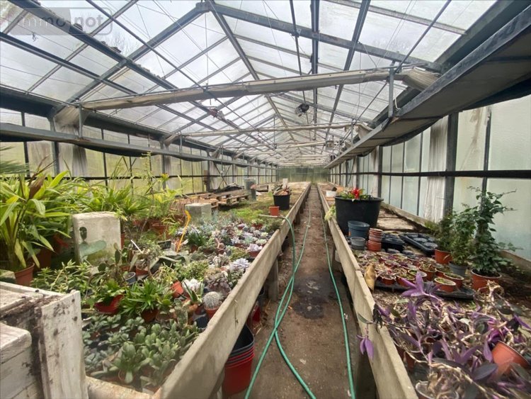 Maison a vendre Veules-les-Roses 76980 Seine-Maritime 68 m2 14 pièces 2415000 euros