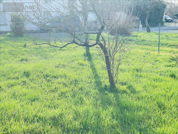 Maison a vendre Longèves 17230 Charente-Maritime 105 m2 4 pièces 248500 euros