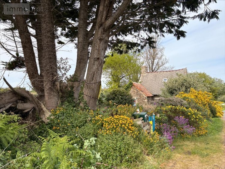 Maison a vendre Lanmodez 22610 Côtes-d'Armor 35 m2 1 pièce 90250 euros