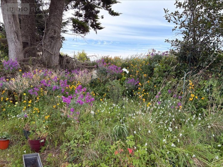 Maison a vendre Lanmodez 22610 Côtes-d'Armor 35 m2 1 pièce 90250 euros