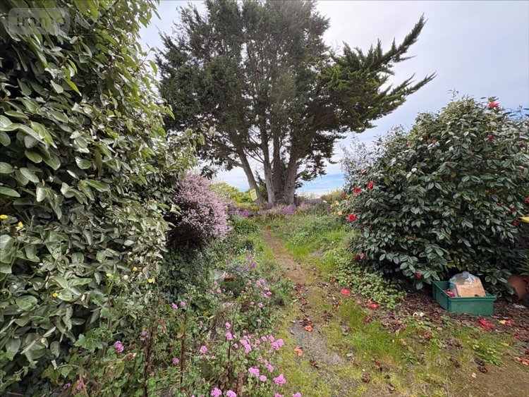 Maison a vendre Lanmodez 22610 Côtes-d'Armor 35 m2 1 pièce 90250 euros