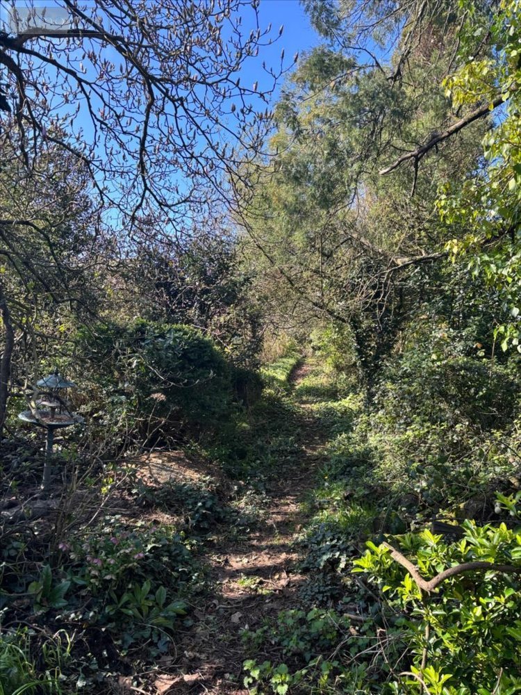 Maison a vendre Poullaouen 29246 Finistère 80 m2 4 pièces 90100 euros