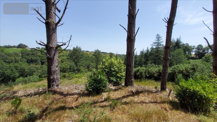 Maison a vendre Plounévézel 29270 Finistère 160 m2 6 pièces 189000 euros