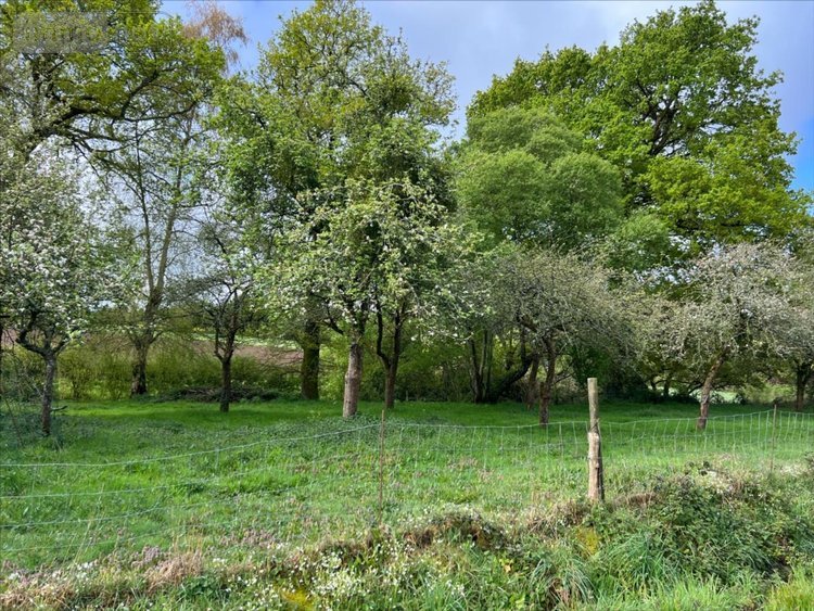 Maison a vendre Cruguel 56420 Morbihan 103 m2 4 pièces 203775 euros
