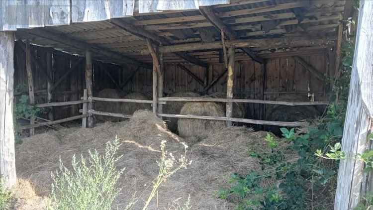 Bien agricole a vendre Pruillé-l'Éguillé 72150 Sarthe  28800 euros