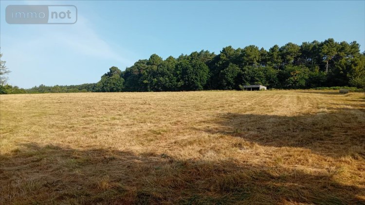 Bien agricole a vendre Pruillé-l'Éguillé 72150 Sarthe  28800 euros