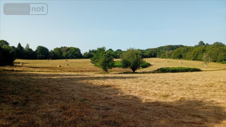 Bien agricole a vendre Pruillé-l'Éguillé 72150 Sarthe  28800 euros