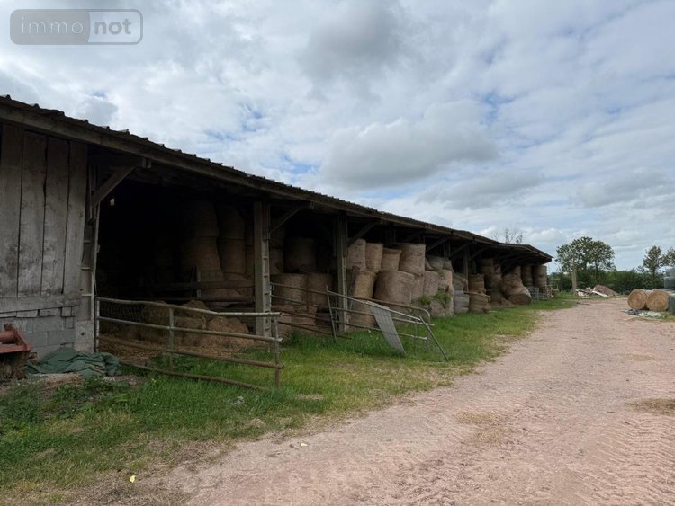 Terrains de loisirs bois etangs a vendre Ver 50450 Manche 31229 m2  156892 euros
