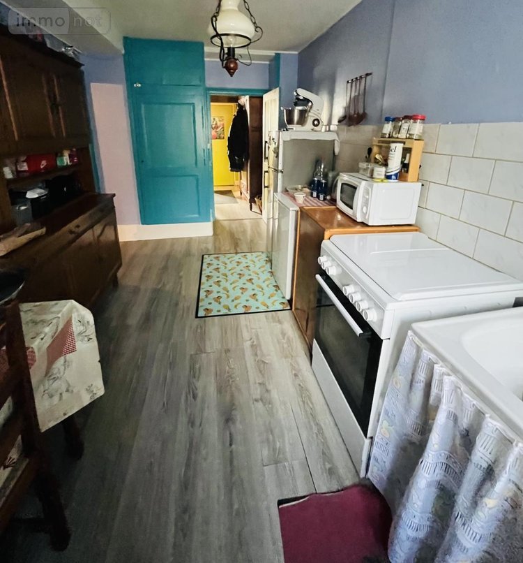 Viager immeuble de rapport Dole 39100 Jura 172 m2  50000 euros