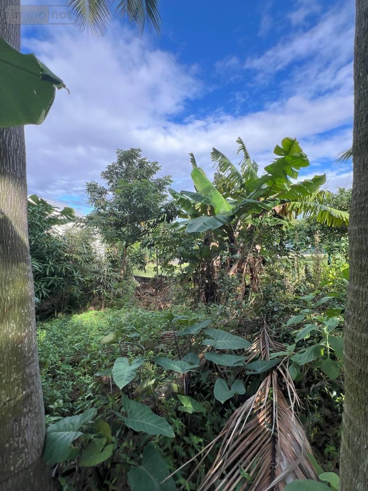 Maison a vendre Saint-Joseph 97480 Réunion 80 m2 3 pièces 295100 euros
