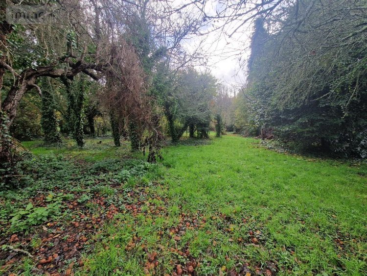 Maison a vendre Pontivy 56300 Morbihan 51 m2 3 pièces 99860 euros