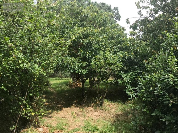 Maison a vendre Plouhinec 56680 Morbihan 120 m2 5 pièces 383760 euros