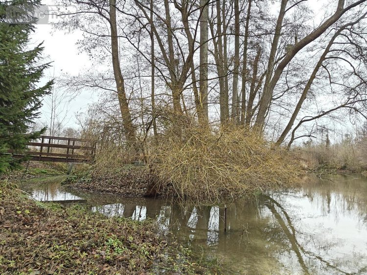 Maison a vendre Saint-Étienne-sur-Suippe 51110 Marne 283 m2 6 pièces 599000 euros