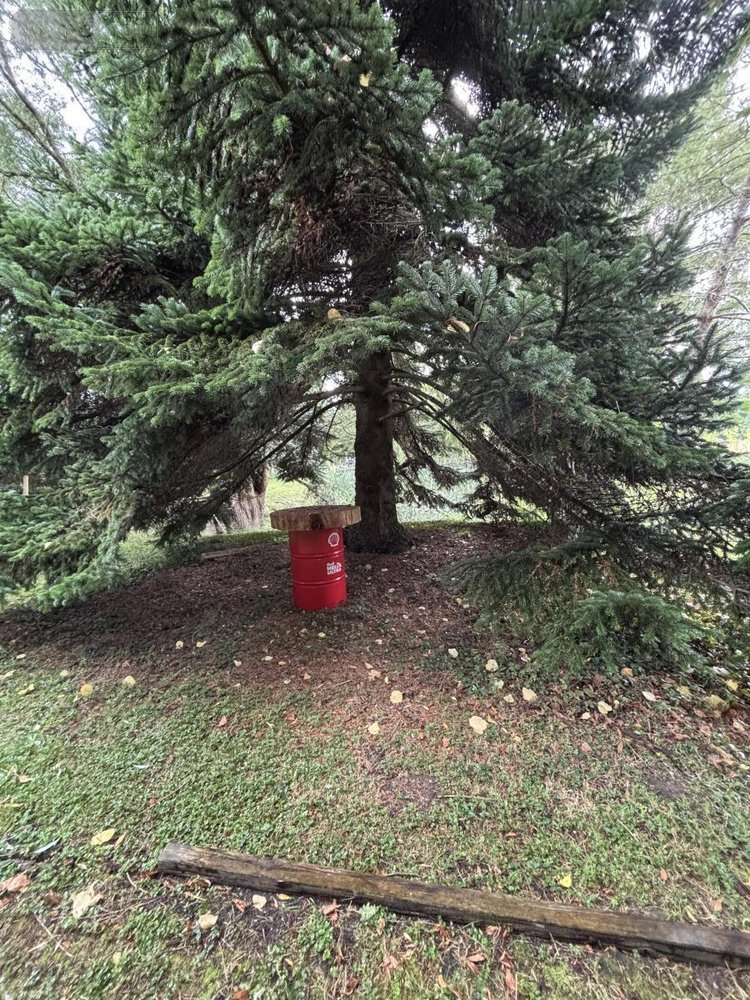 Terrains de loisirs bois etangs a vendre Le Grand-Lucé 72150 Sarthe 3221 m2  37000 euros