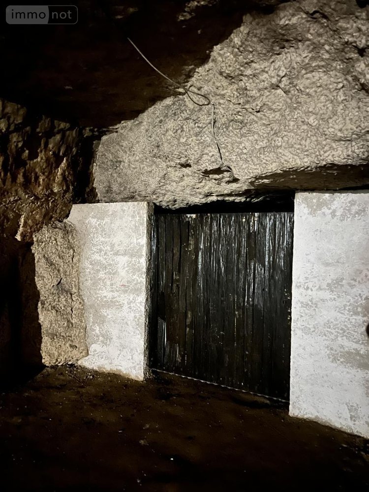 Garage et parking a vendre Naveil 41100 Loir-et-Cher 80 m2  11800 euros