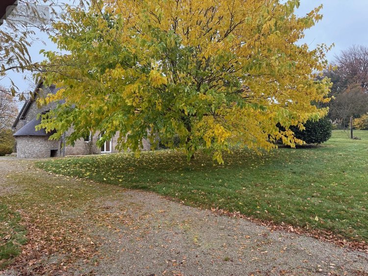 Maison a vendre Noues de Sienne 14380 Calvados 133 m2 5 pièces 169540 euros