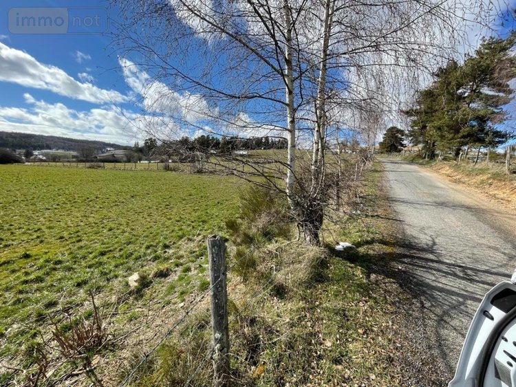 Terrain a batir a vendre Peyre en Aubrac 48130 Lozère 5236 m2  99000 euros