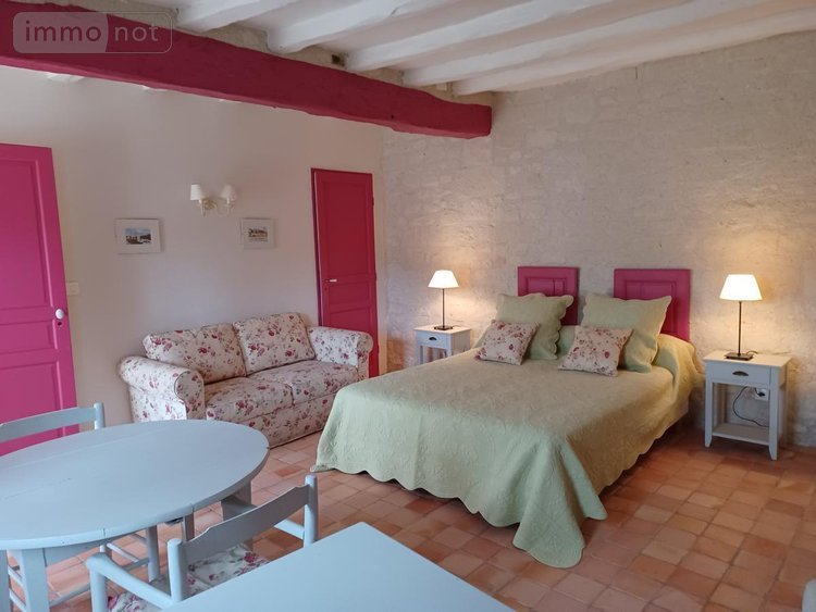 Maison a vendre Chinon 37500 Indre-et-Loire 250 m2  472250 euros