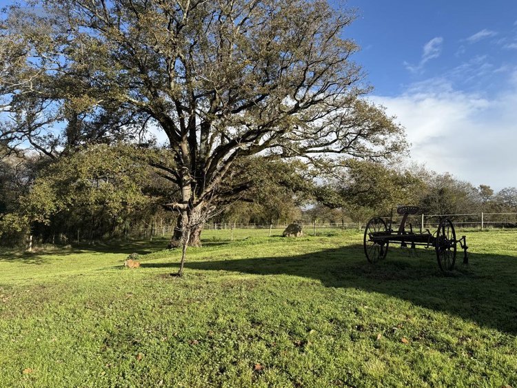 Maison a vendre Surzur 56450 Morbihan 185 m2 6 pièces 795200 euros